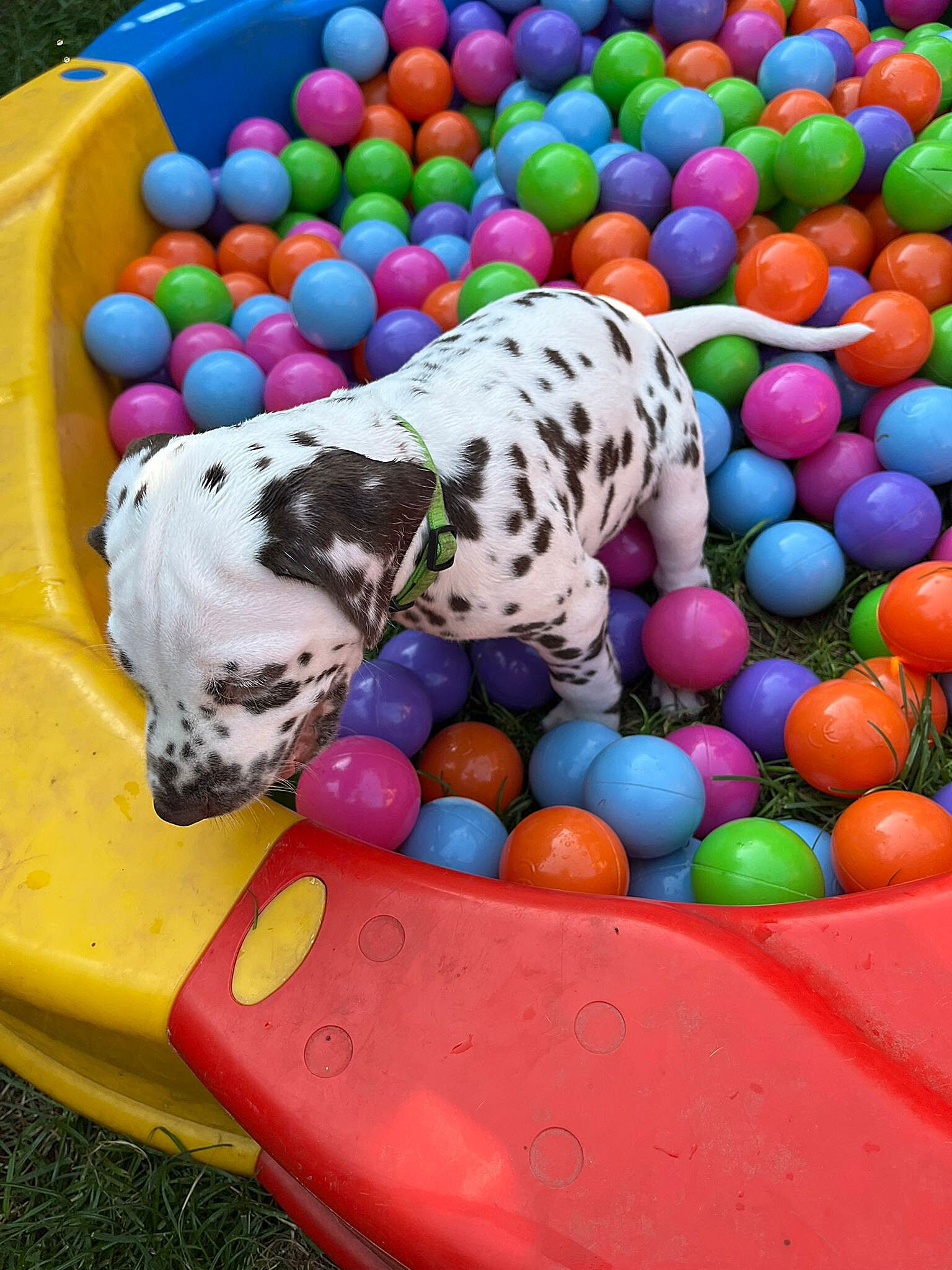 20240812_164500_a8fdc455-7179-4647-ba16-e916a26f18e5