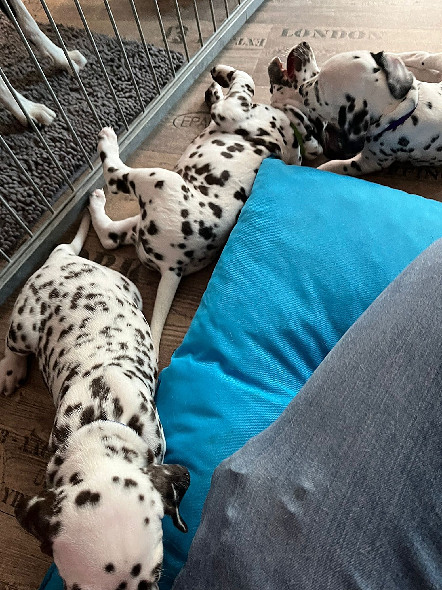 20240812_164500_aecf0c1e-2d9d-443a-9c91-3198c4ca7883