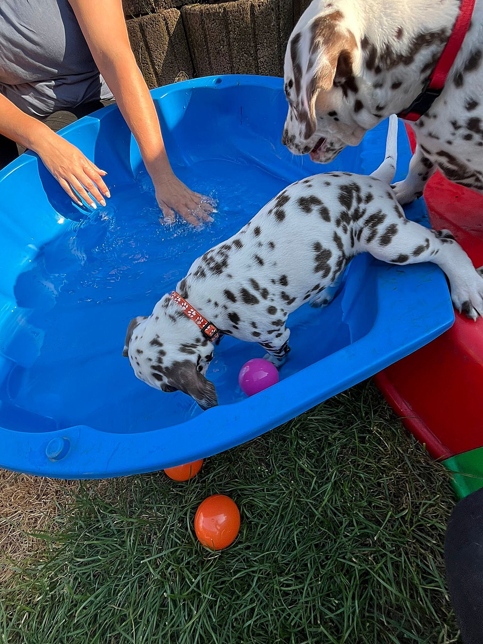 20240812_164500_45213706-9002-498f-8602-9ce36c0c94cf