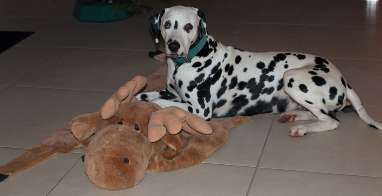 IMG_8790_20151002_05