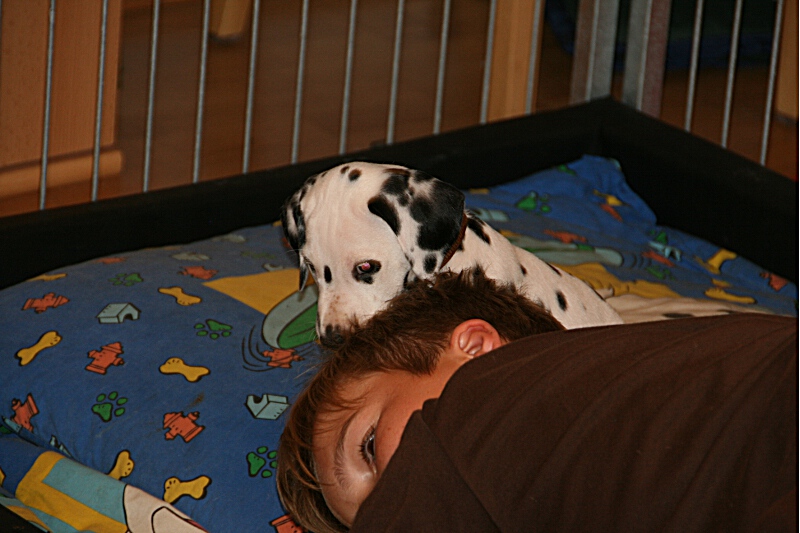IMG_7744