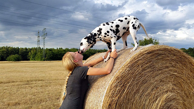 IMG_8804_20150302_44