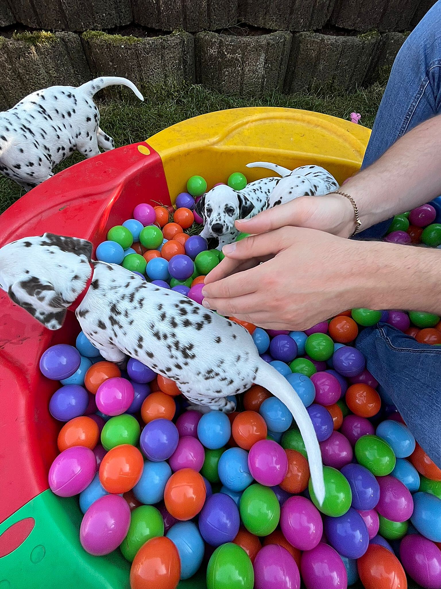 20240812_164500_3c94b251-c4ba-49f6-9e47-20049e142855