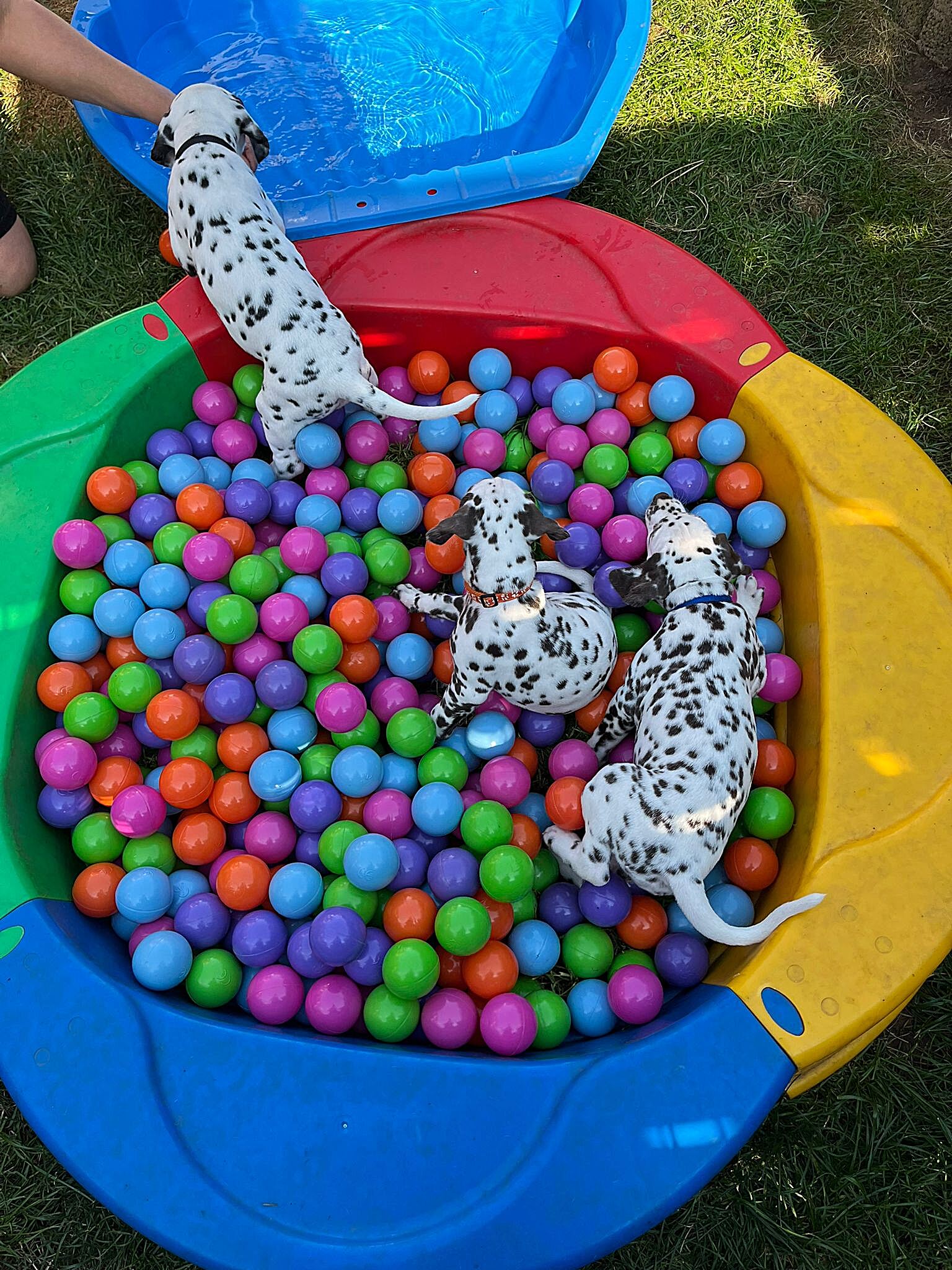 20240812_164500_c4e2fe75-e118-4a1a-84e8-626f6e1943c4