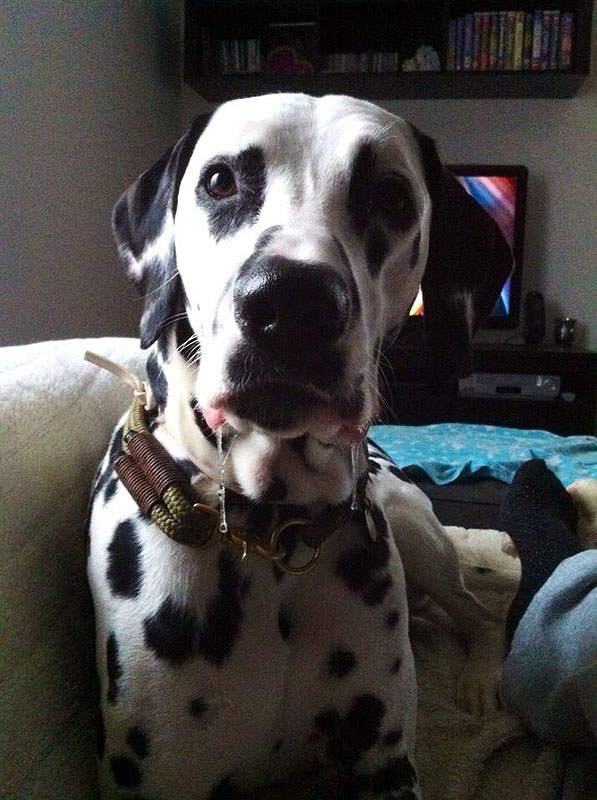 IMG_8796_20150402_06