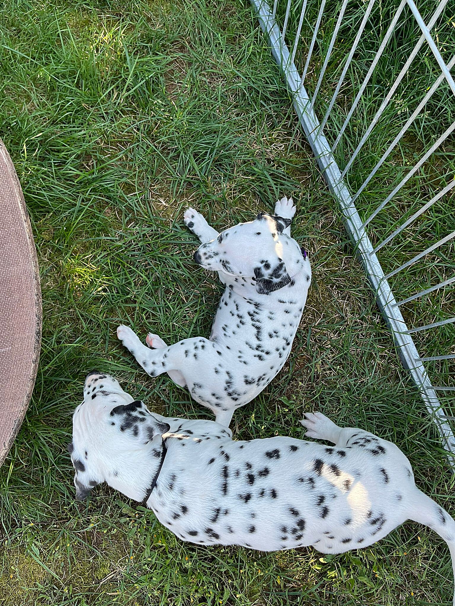 20240812_164500_4dc76267-a97a-4b0f-a7e5-a9259039e32a