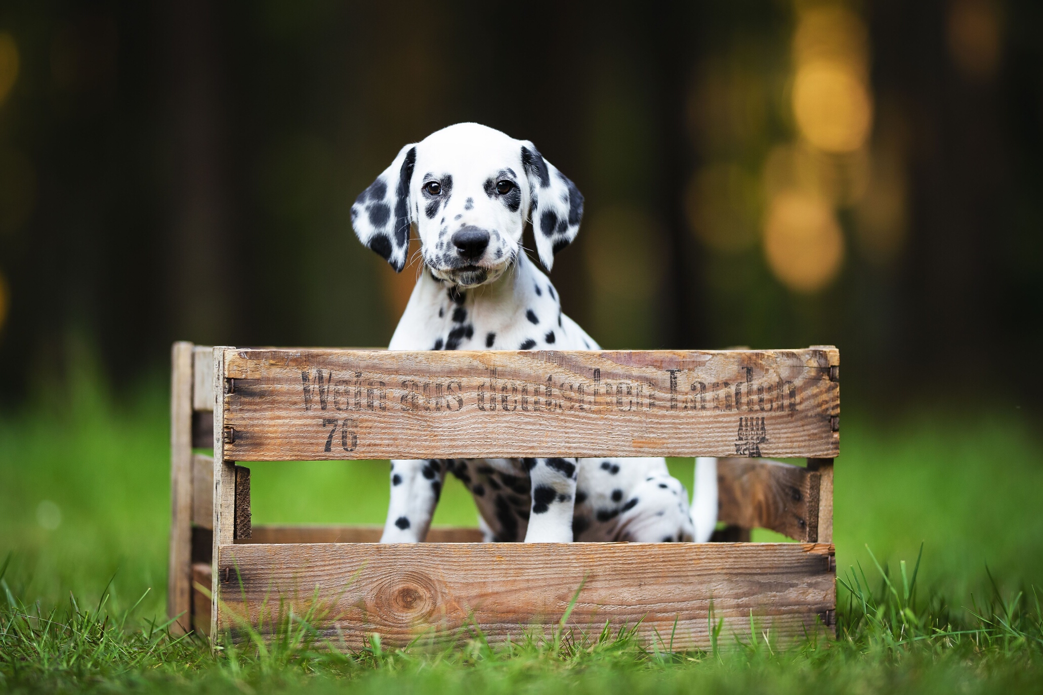 2019_05_29_Final_Shooting_Doctor_Who_Hugo