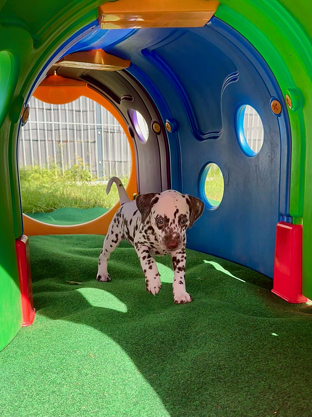 20240808_170000_image2