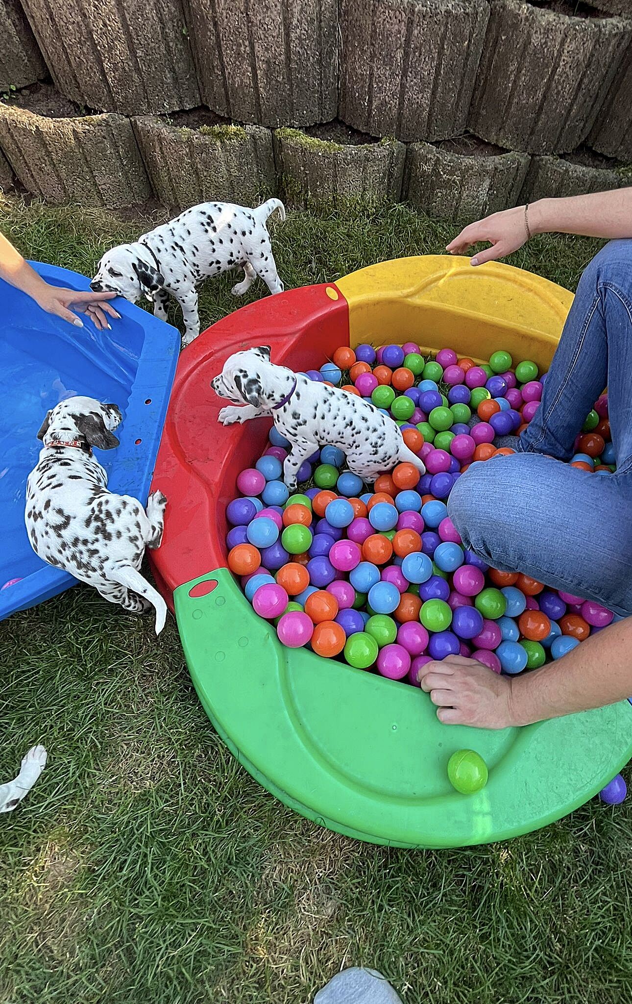 20240812_164500_3c64b2a8-5408-43b7-a0a2-53c440326580