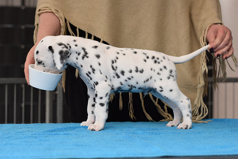 2021_04_30_Lightning_Standbild