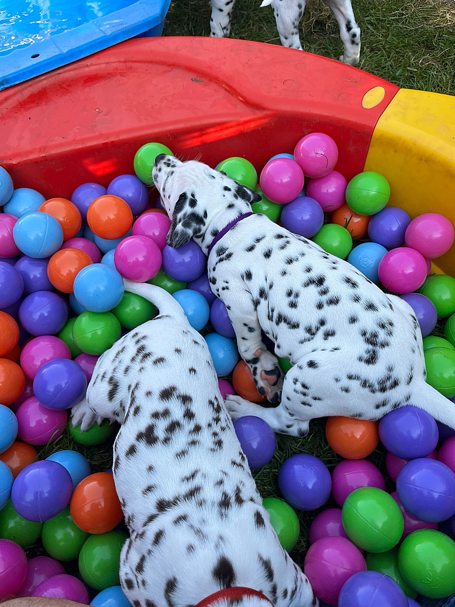 20240812_164500_bdfab5c9-17e6-40a2-b6c8-10ece26a8f74