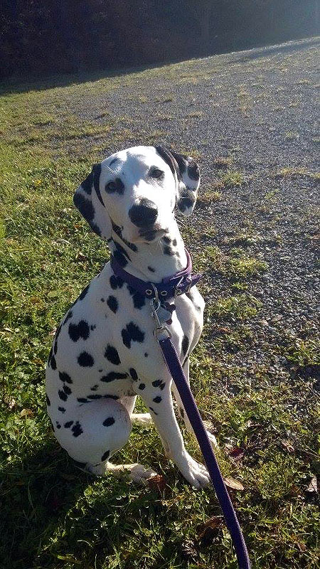 IMG_8859_200150402_5