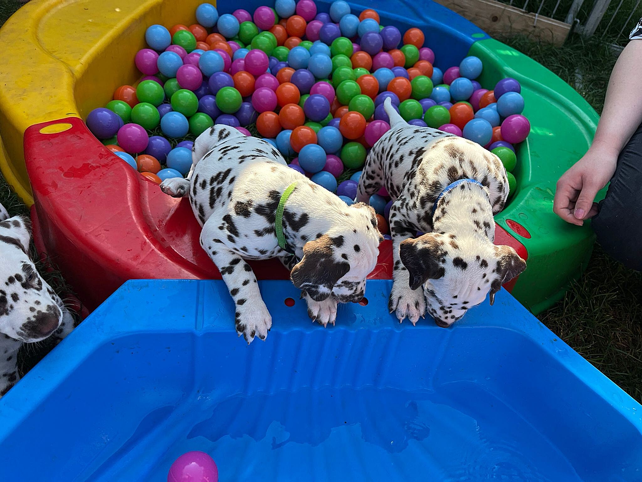 20240812_164500_1a9b0fc6-3ee7-468e-8e41-9e9348e6cec3