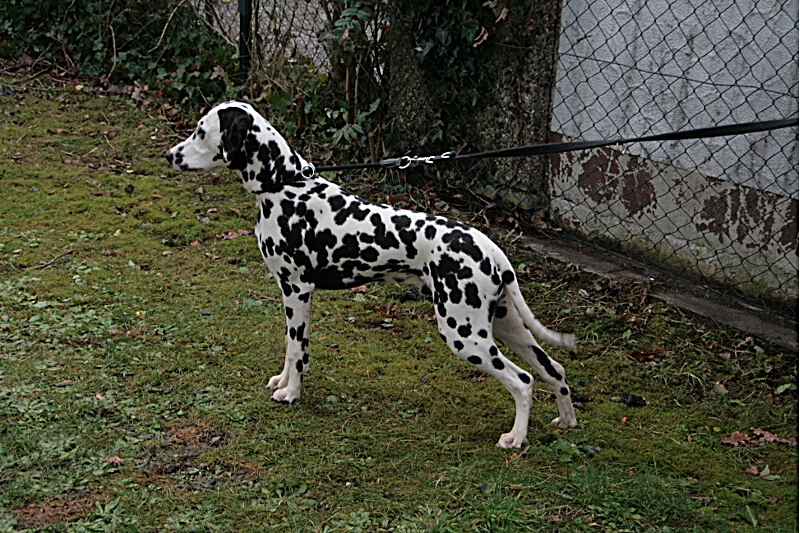 IMG_8762_13122905