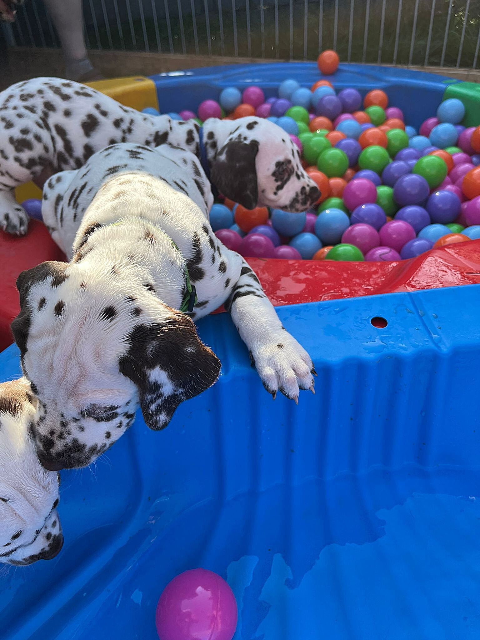 20240812_164500_a1c1def4-4d14-46bc-8872-57499f05bcfc