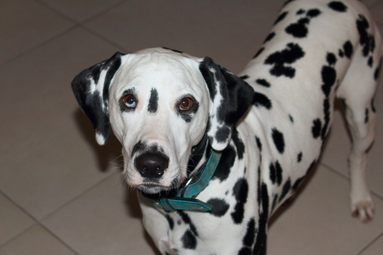 IMG_8790_20151002_03