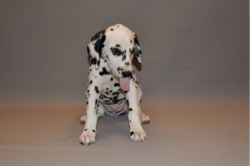 IMG_8200_2013-08-06_2020_047