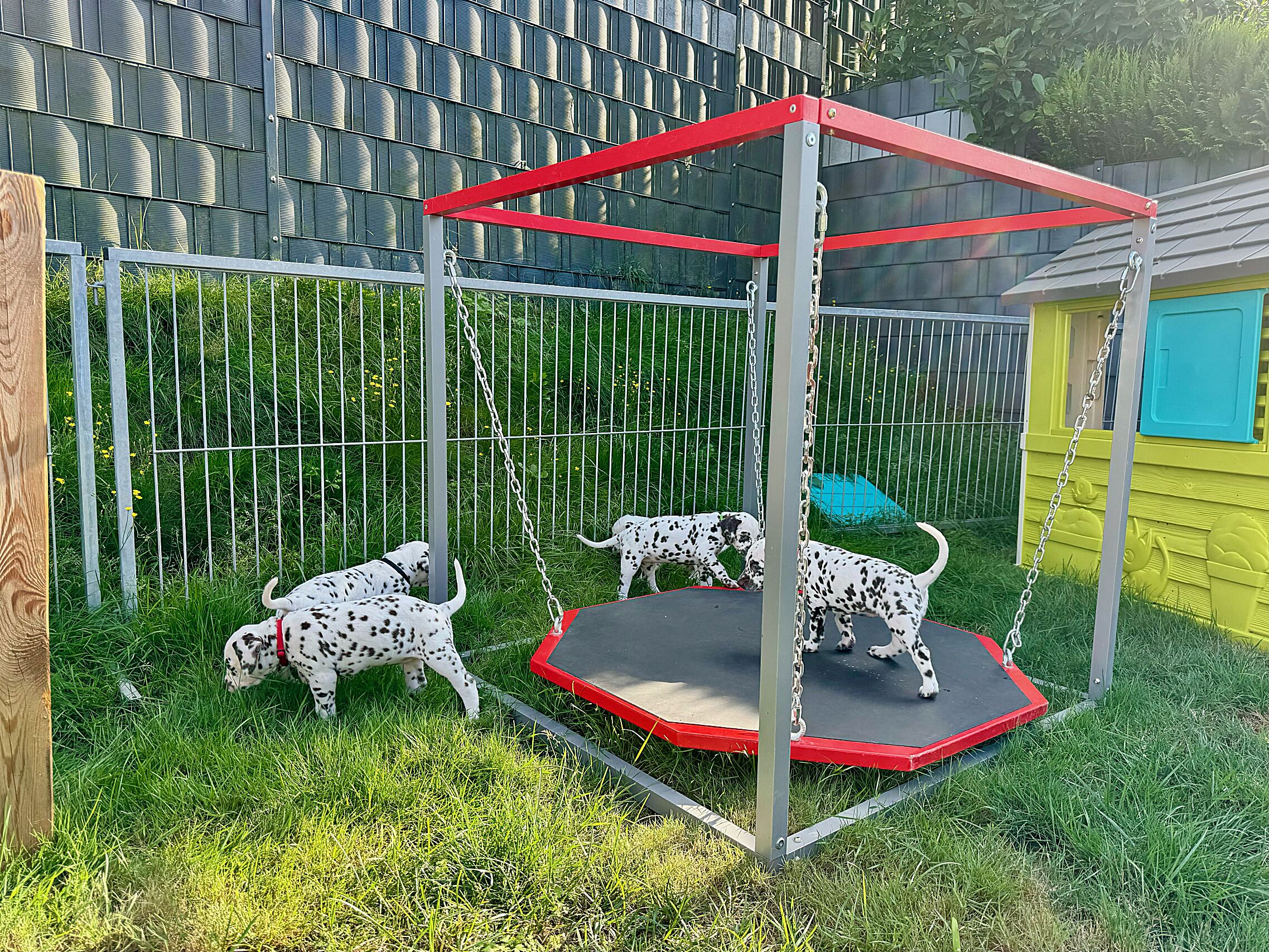 20240808_170000_image11