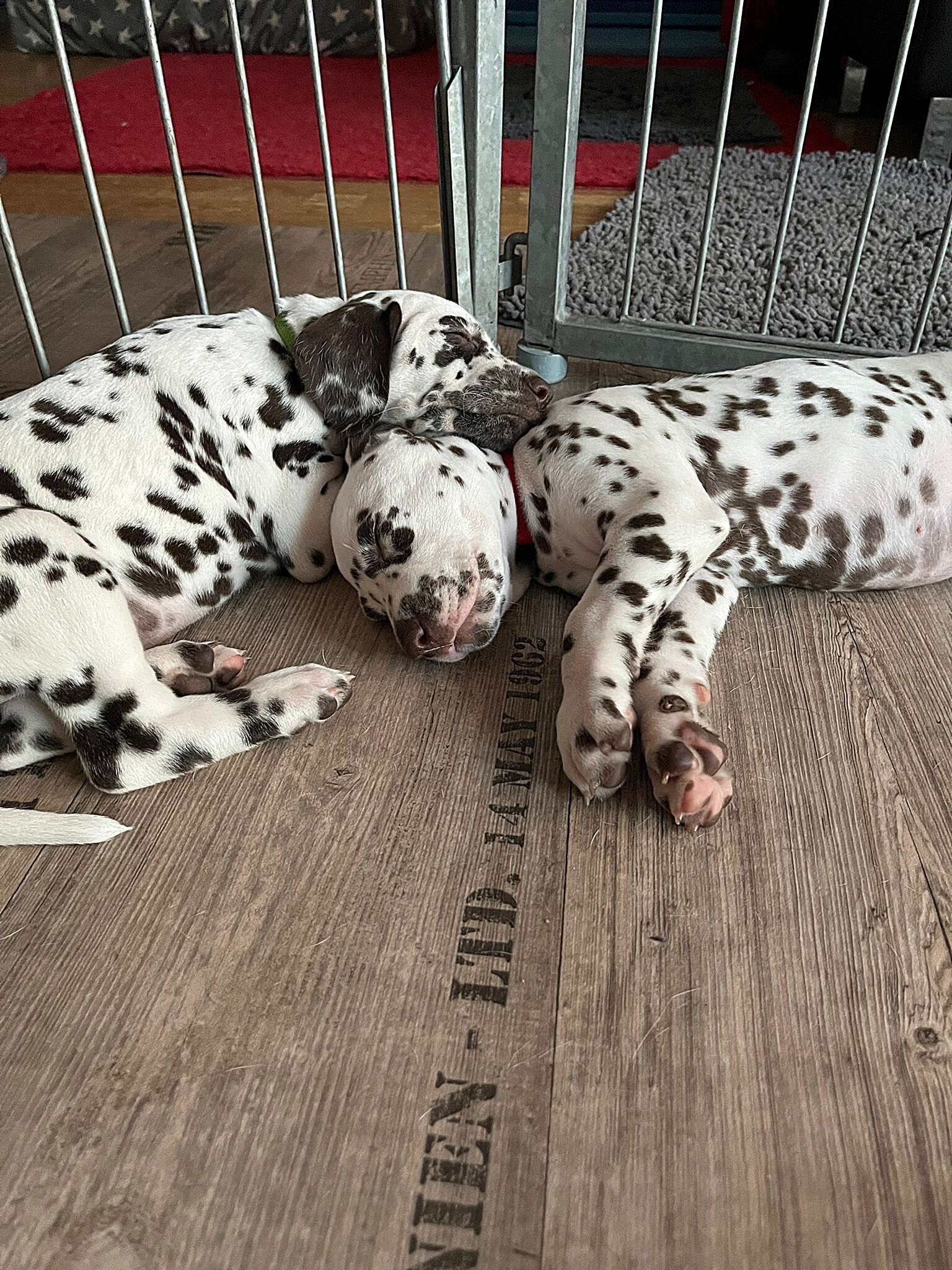 20240812_164500_64b61b01-ec3a-4e93-bd57-2d7d71dddbc3