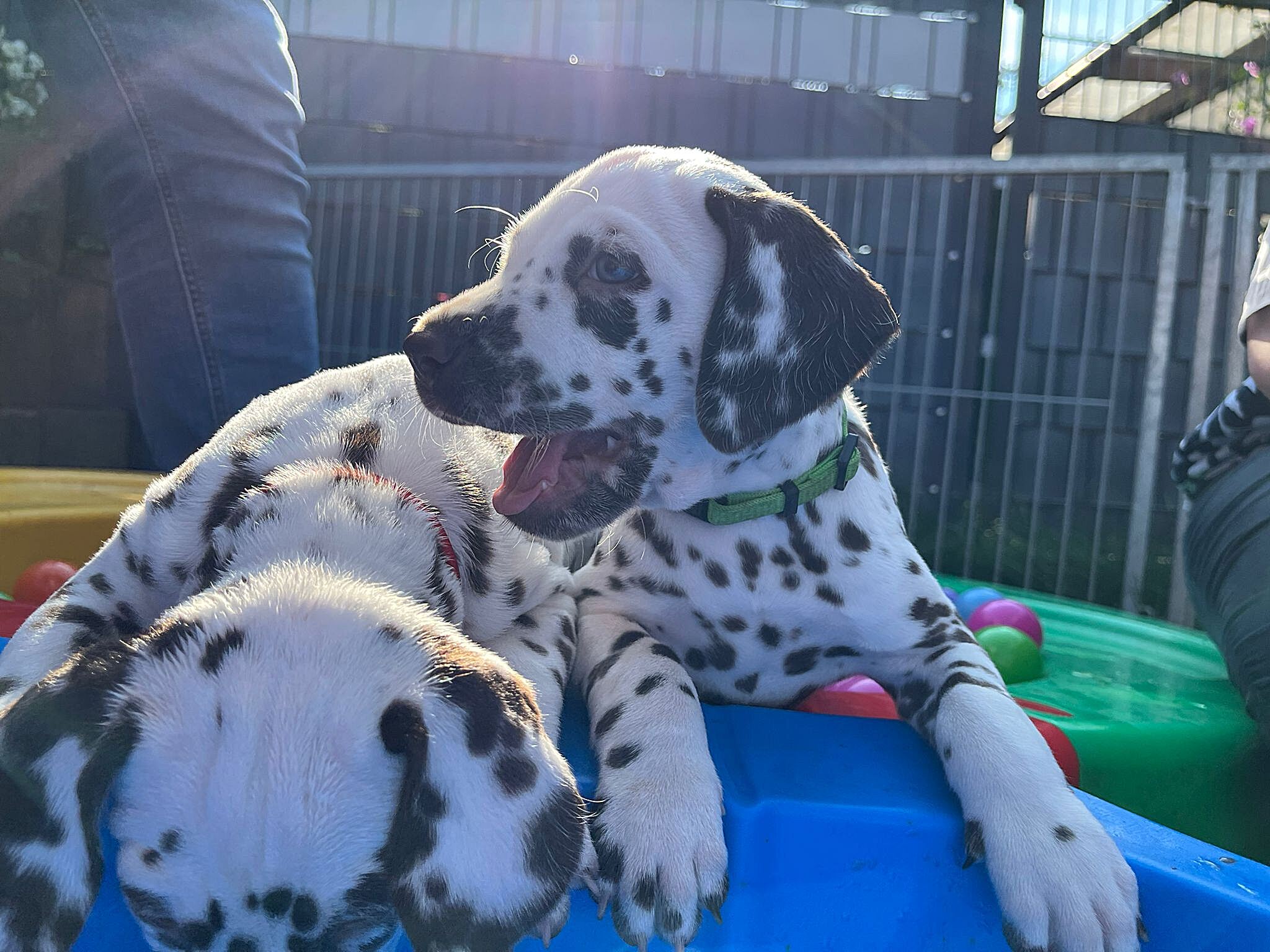 20240812_164500_17ecb499-640e-4092-a68b-35f56fb45d6f