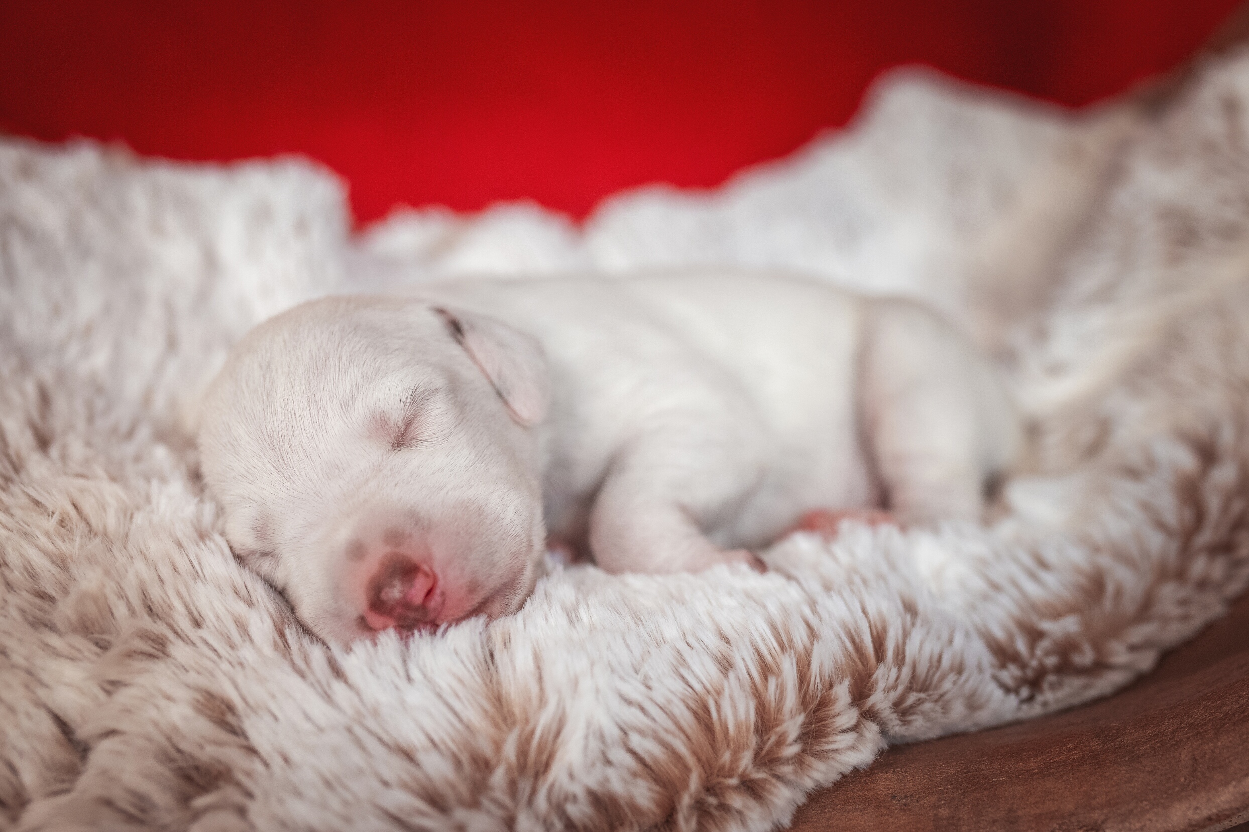 2021_03_29_02_Tuerkis