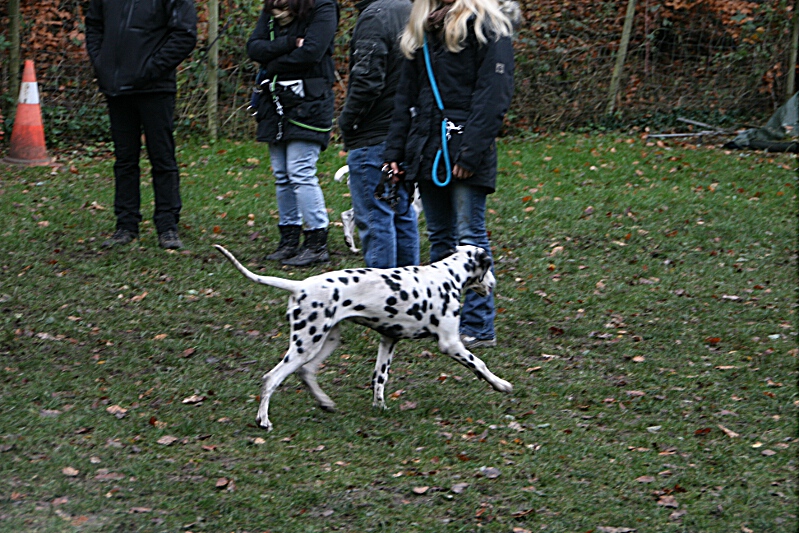 IMG_0385