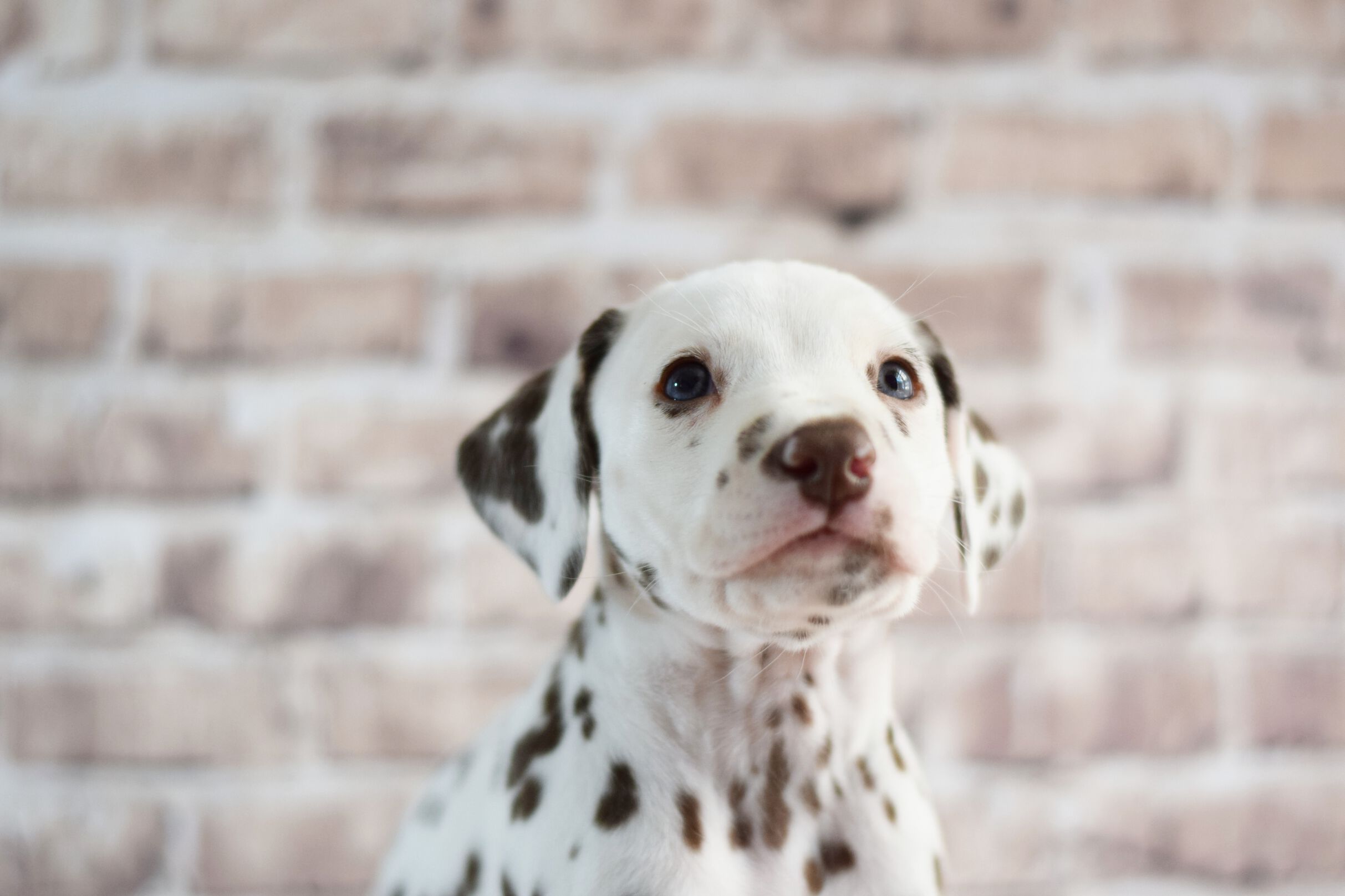 2021_04_27_80_Tuerkis