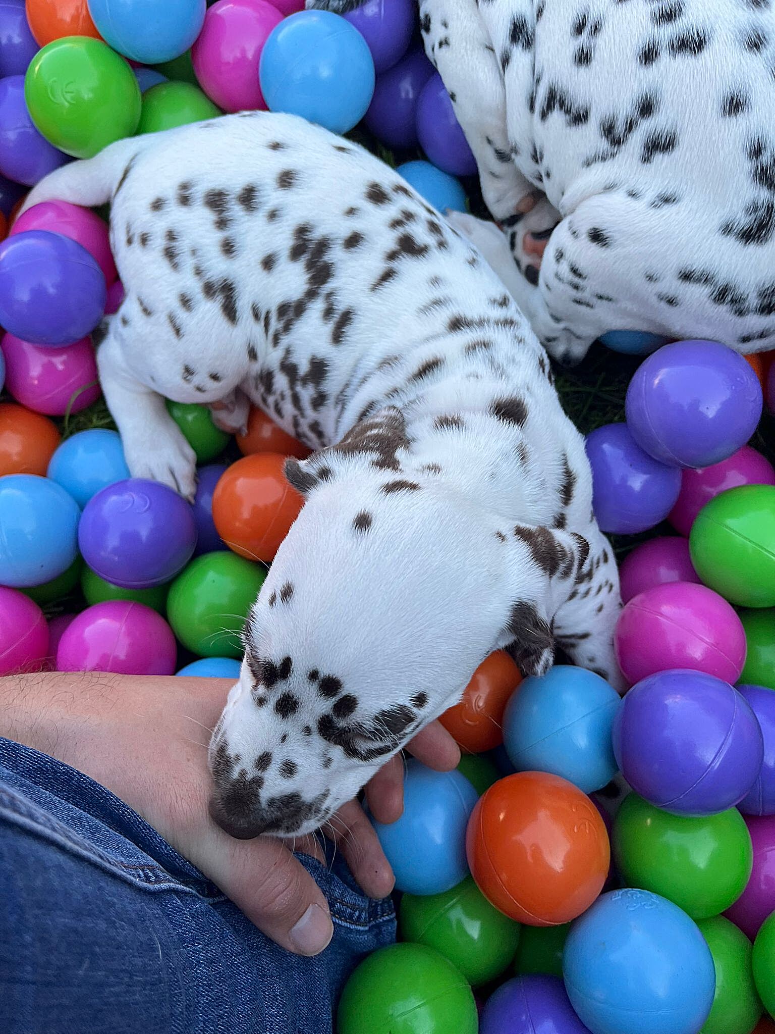 20240812_164500_b6c89ad2-1bff-4473-b7b2-fb7fb4293558