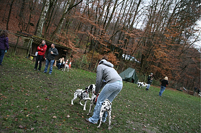 IMG_0397