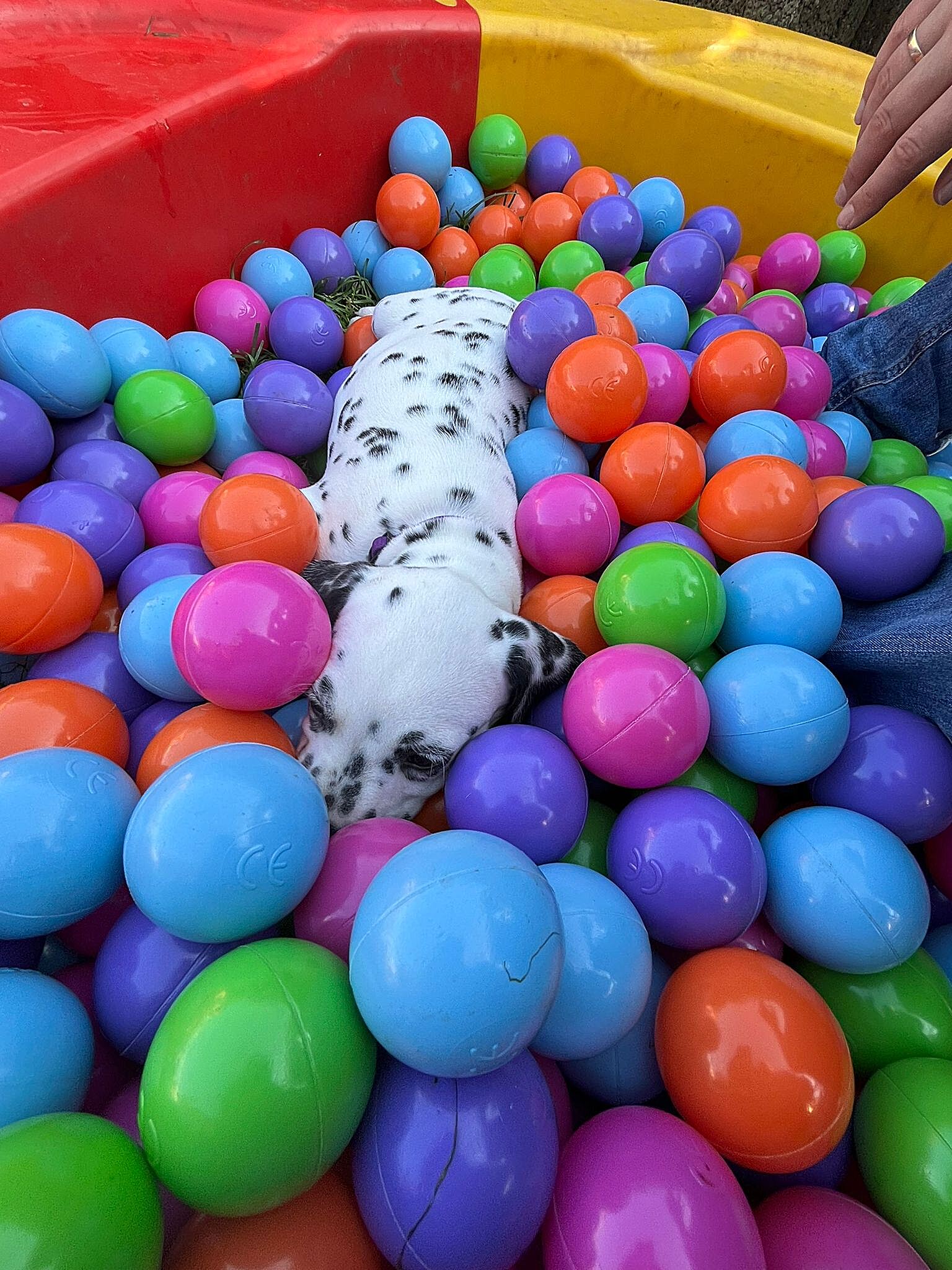 20240812_164500_aa5bd392-ceee-4f0d-a899-936fc10ac2ed