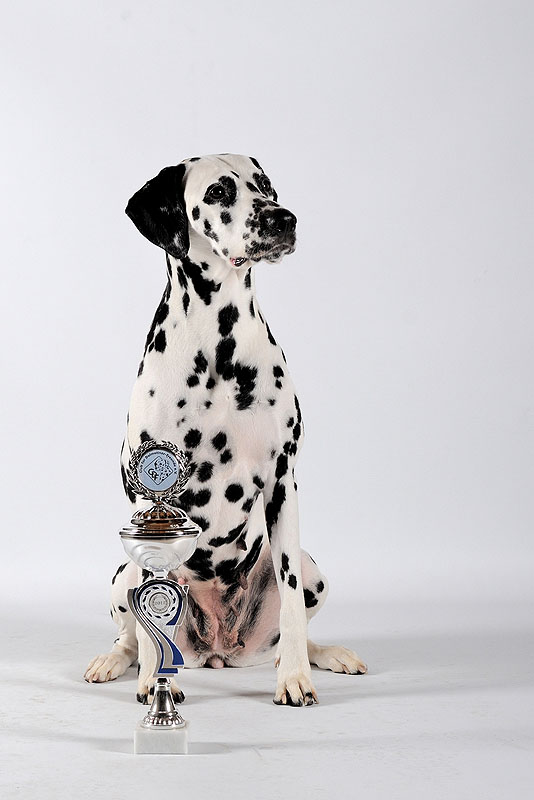 IMG_9533_20150402_12