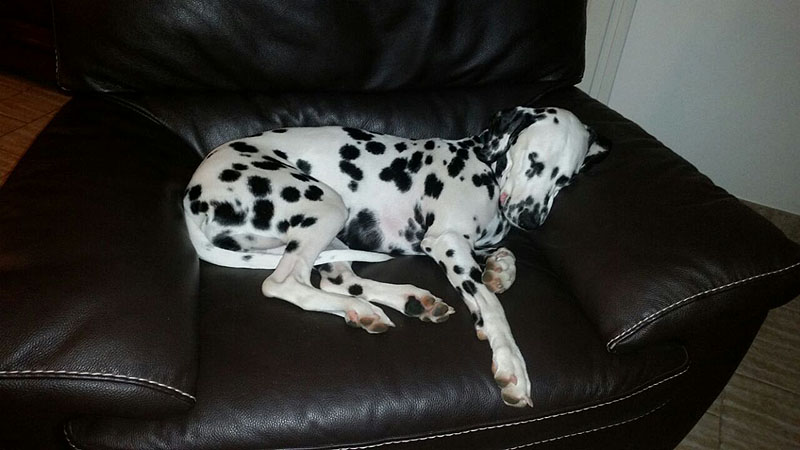 IMG_8804_20150302_36