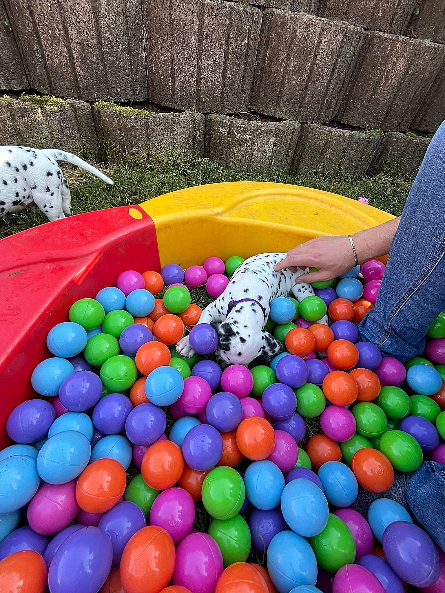 20240812_164500_7bd42700-2582-437f-8990-a9e5ad6ea618