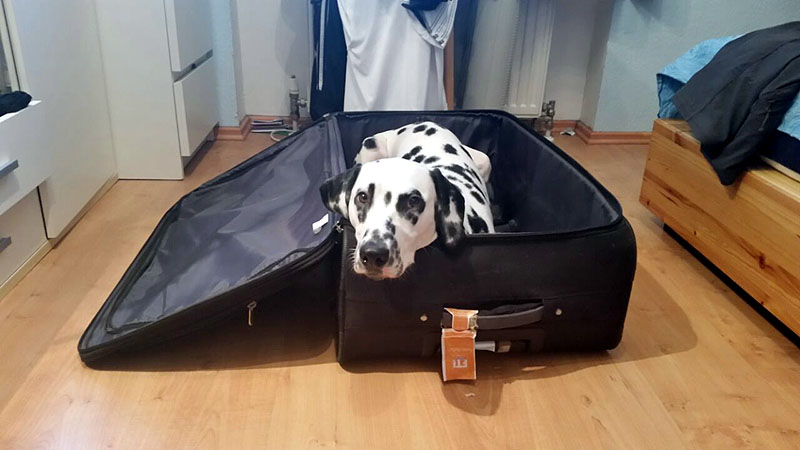 IMG_8804_20150302_26