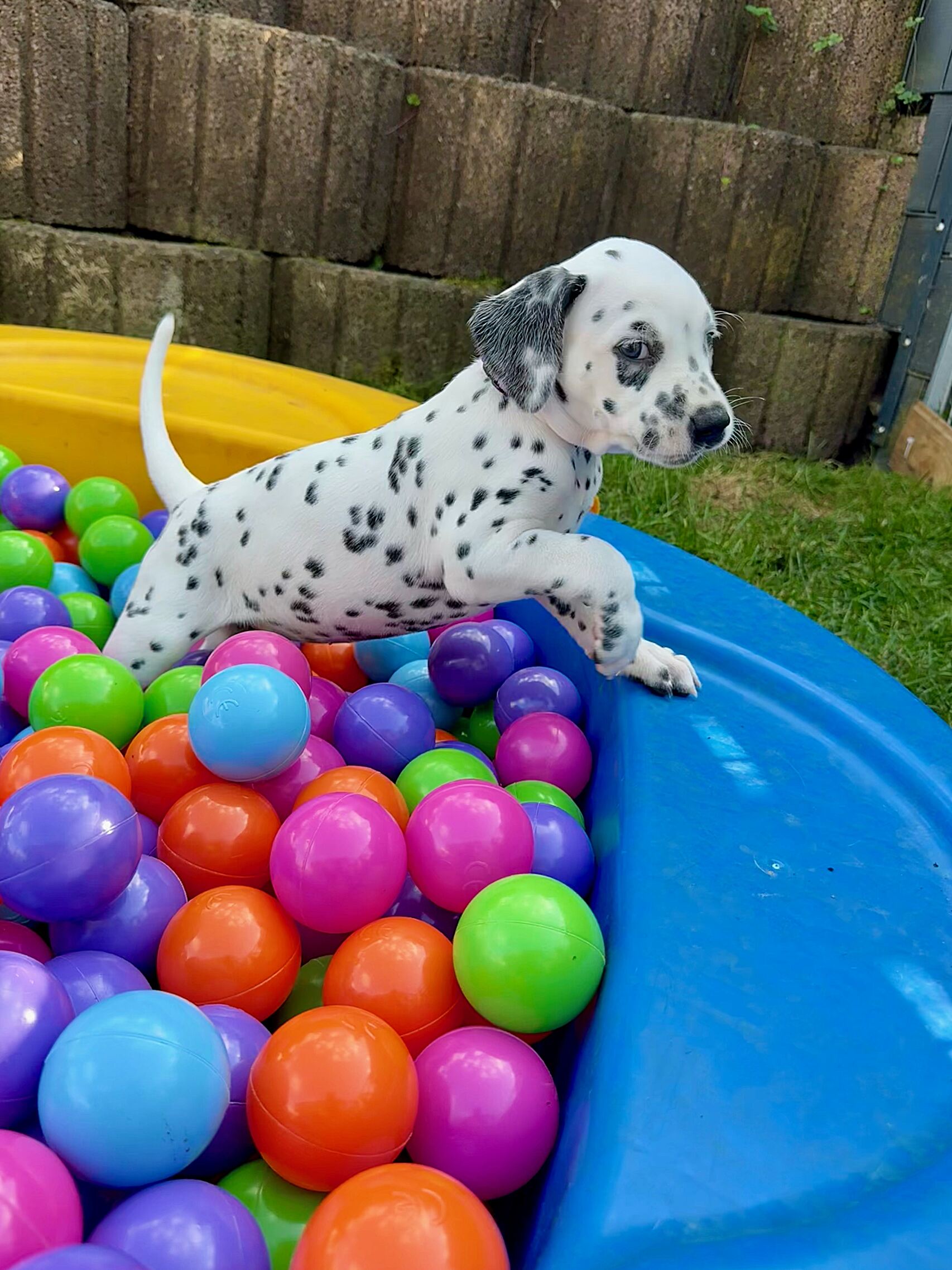 20240808_170000_image24