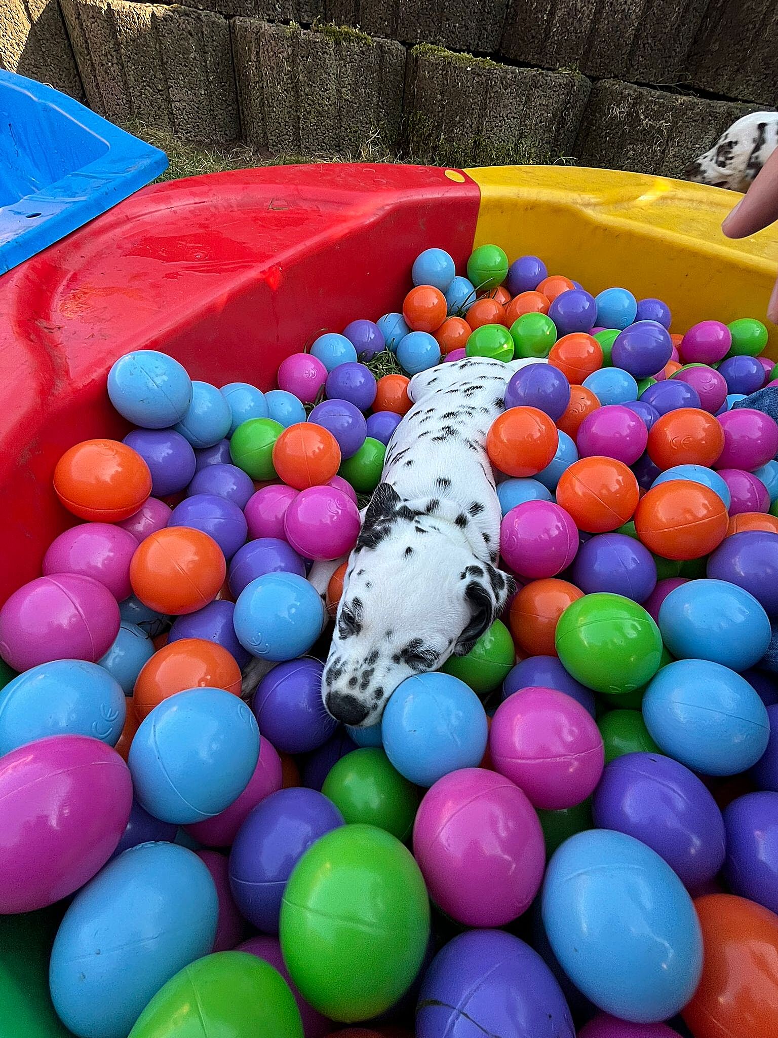 20240812_164500_fdc91569-ad84-49d7-8b0f-02ea37110767