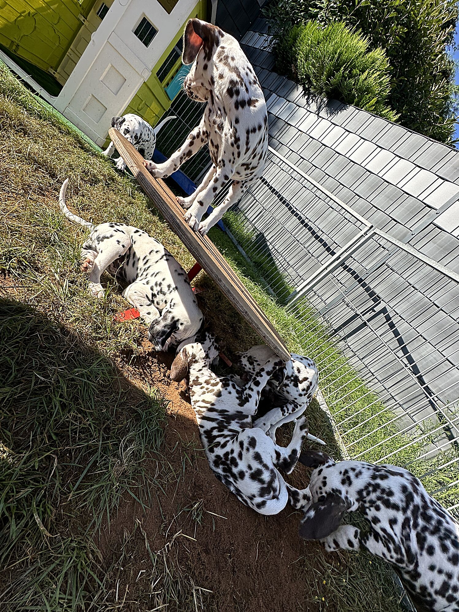 20240826_115228_IMG_9929