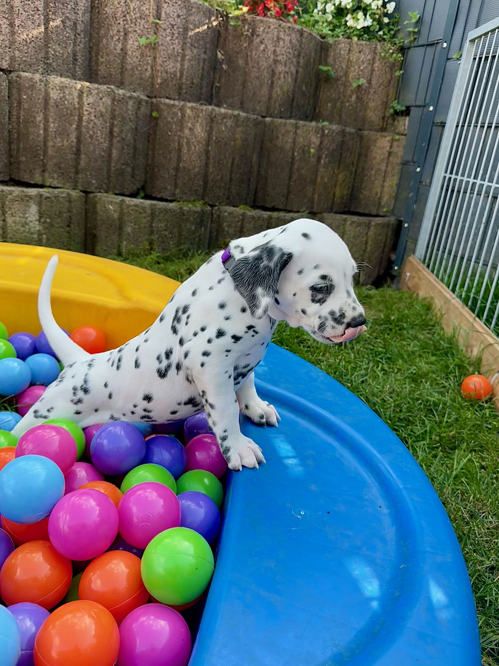 20240808_170000_image23