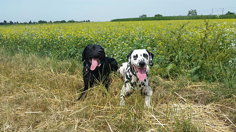 IMG_8804_20150302_34