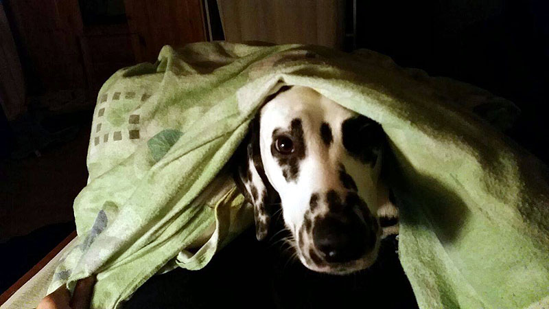 IMG_8804_20150302_07