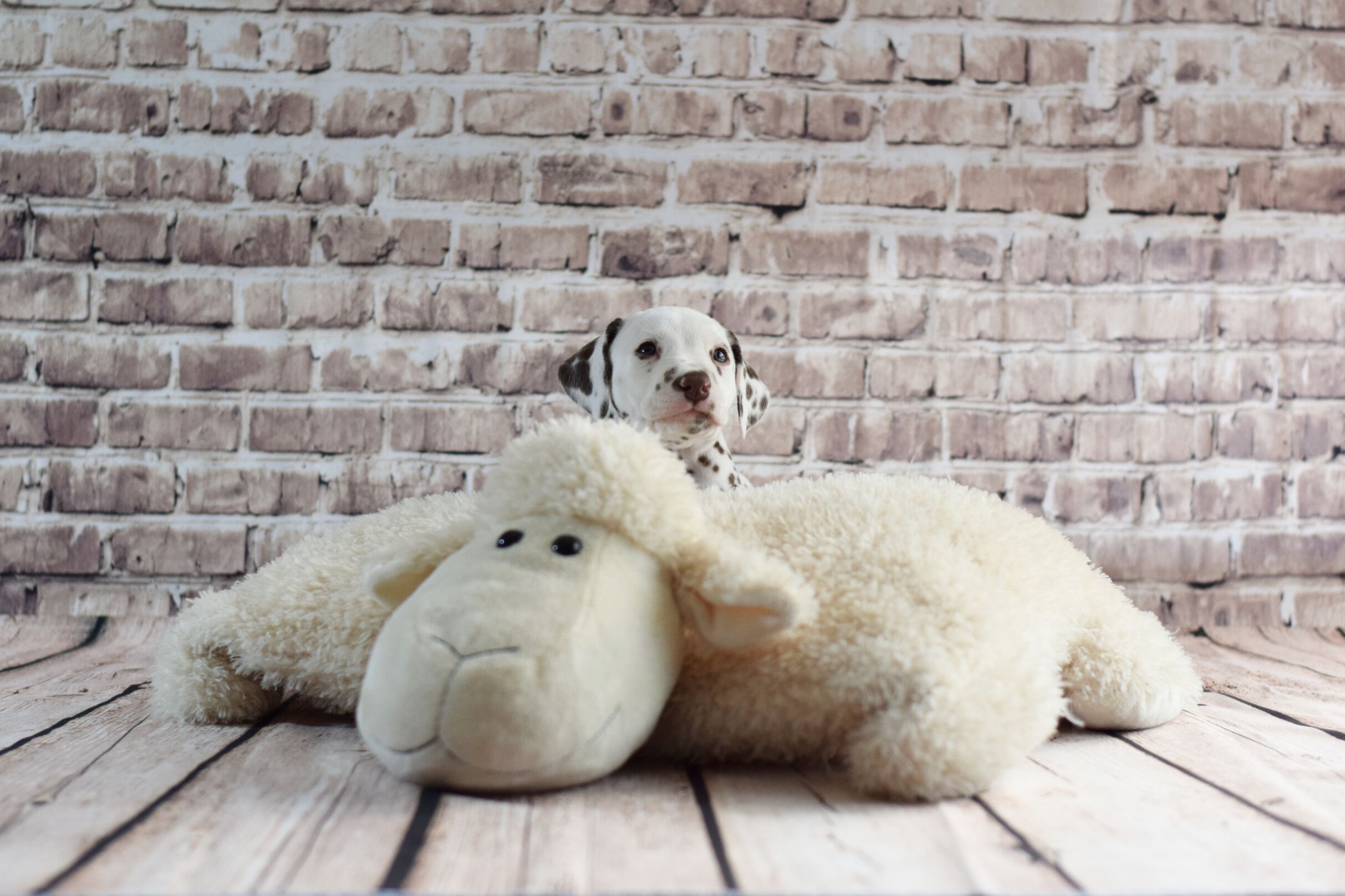 2021_04_27_76_Tuerkis