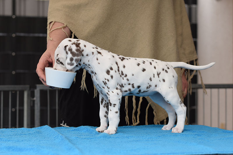 2021_04_30_Gruen_Standbild