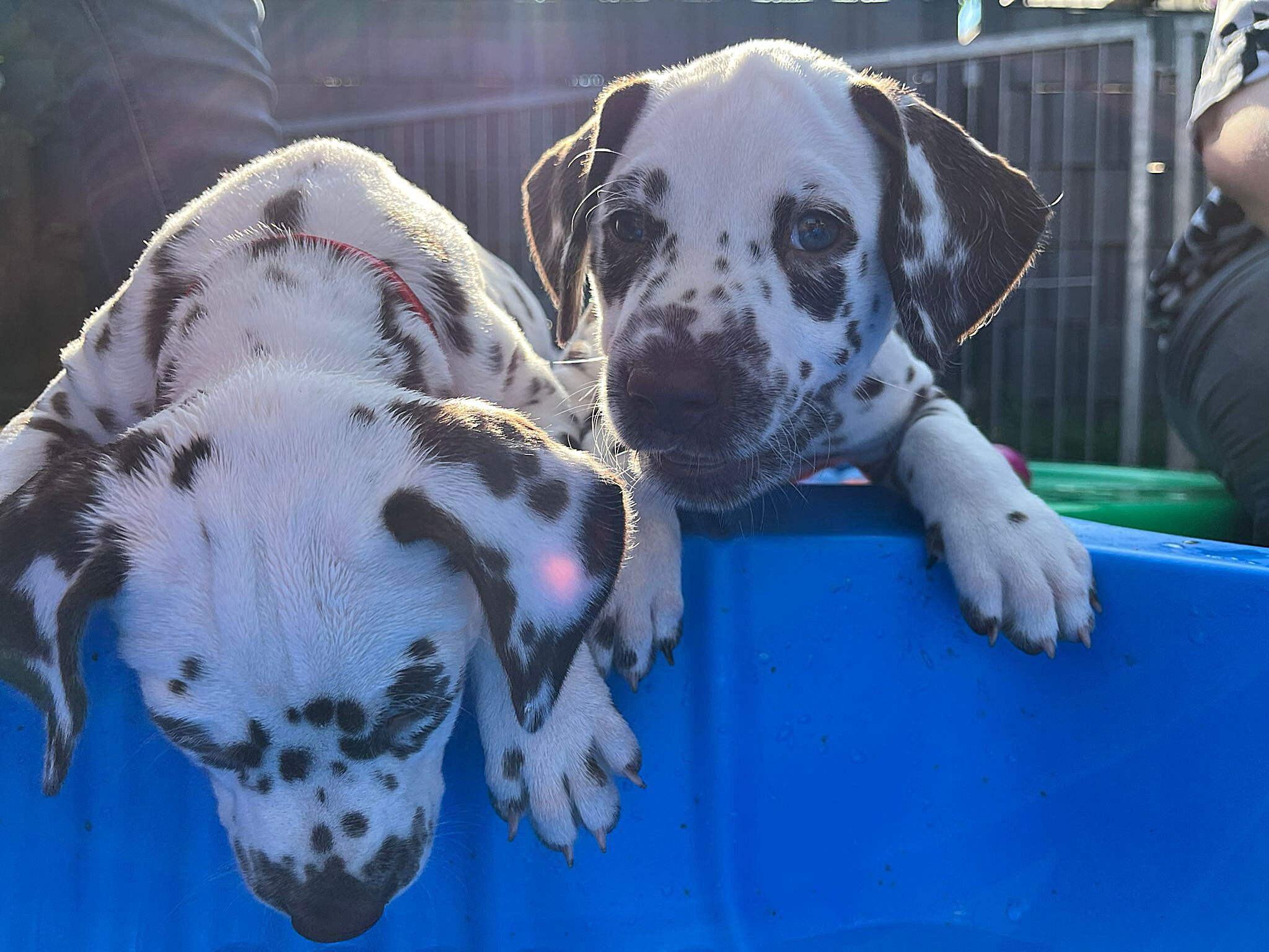 20240812_164500_b76b778a-18f4-4ad4-b8d5-215d827ed0c2