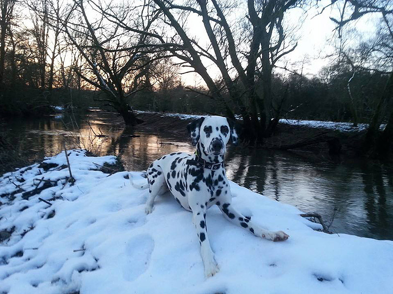 IMG_8804_20150302_02