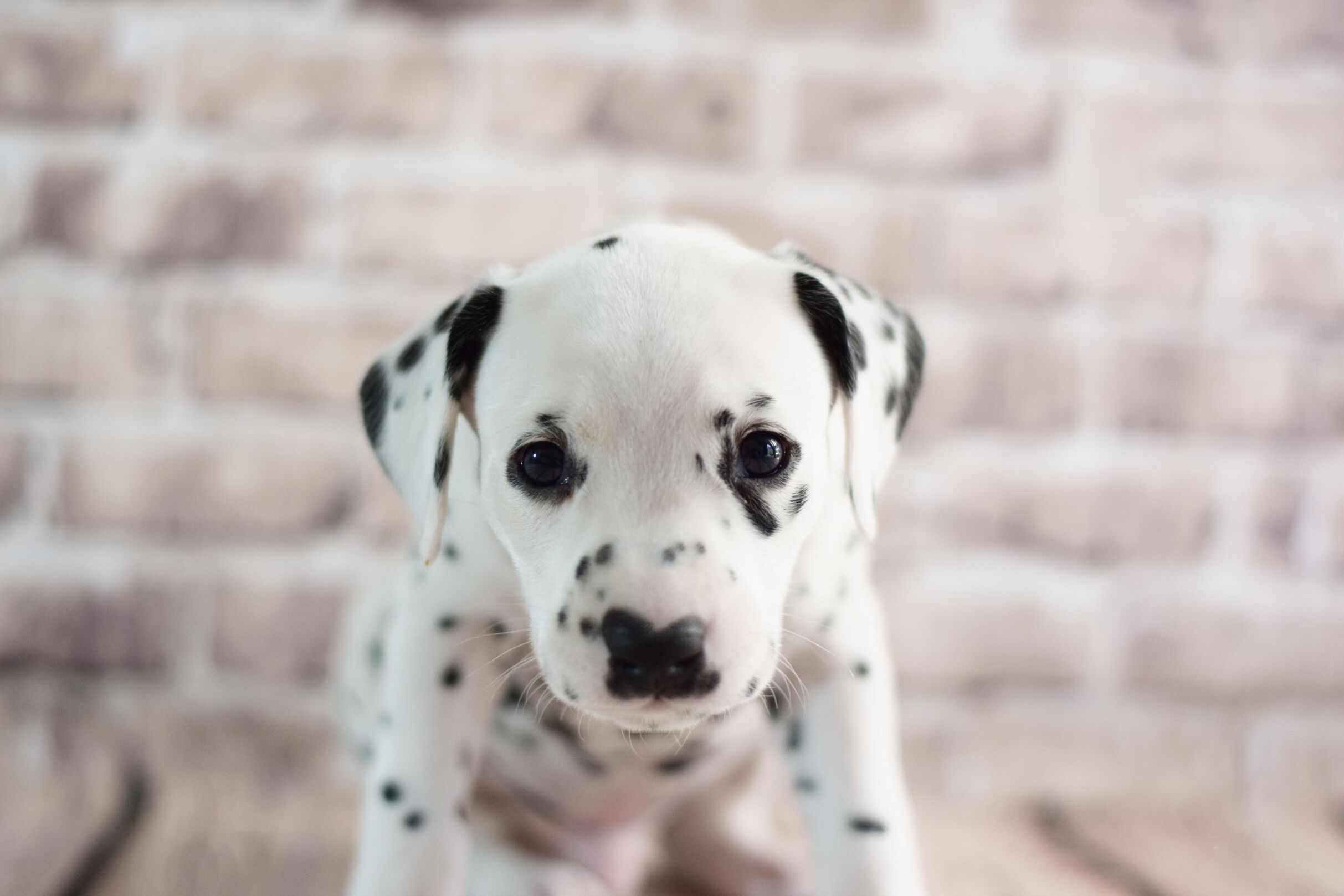 2021_04_27_73_Silber