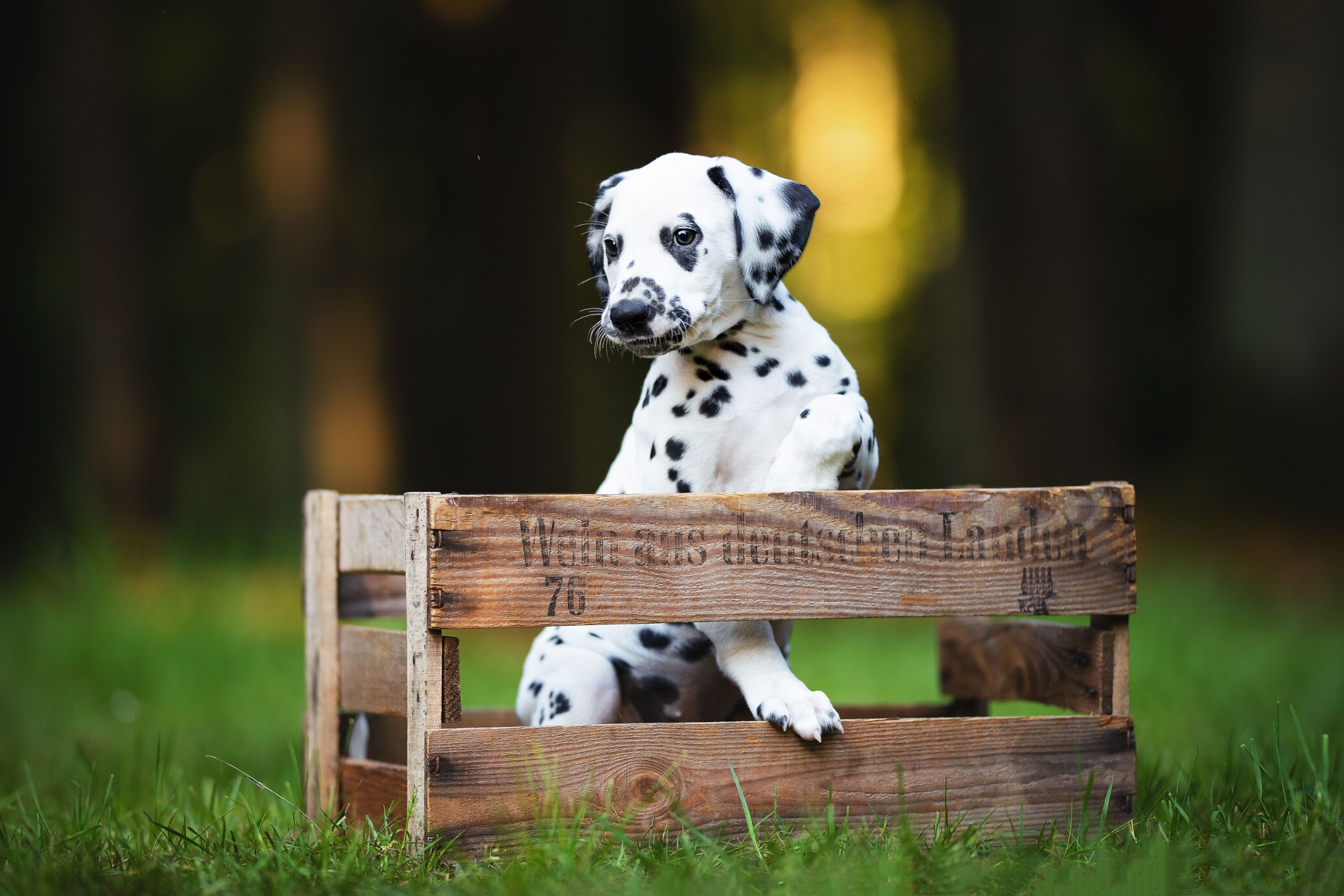 2019_05_29_Final_Shooting_Daenerys_Holly