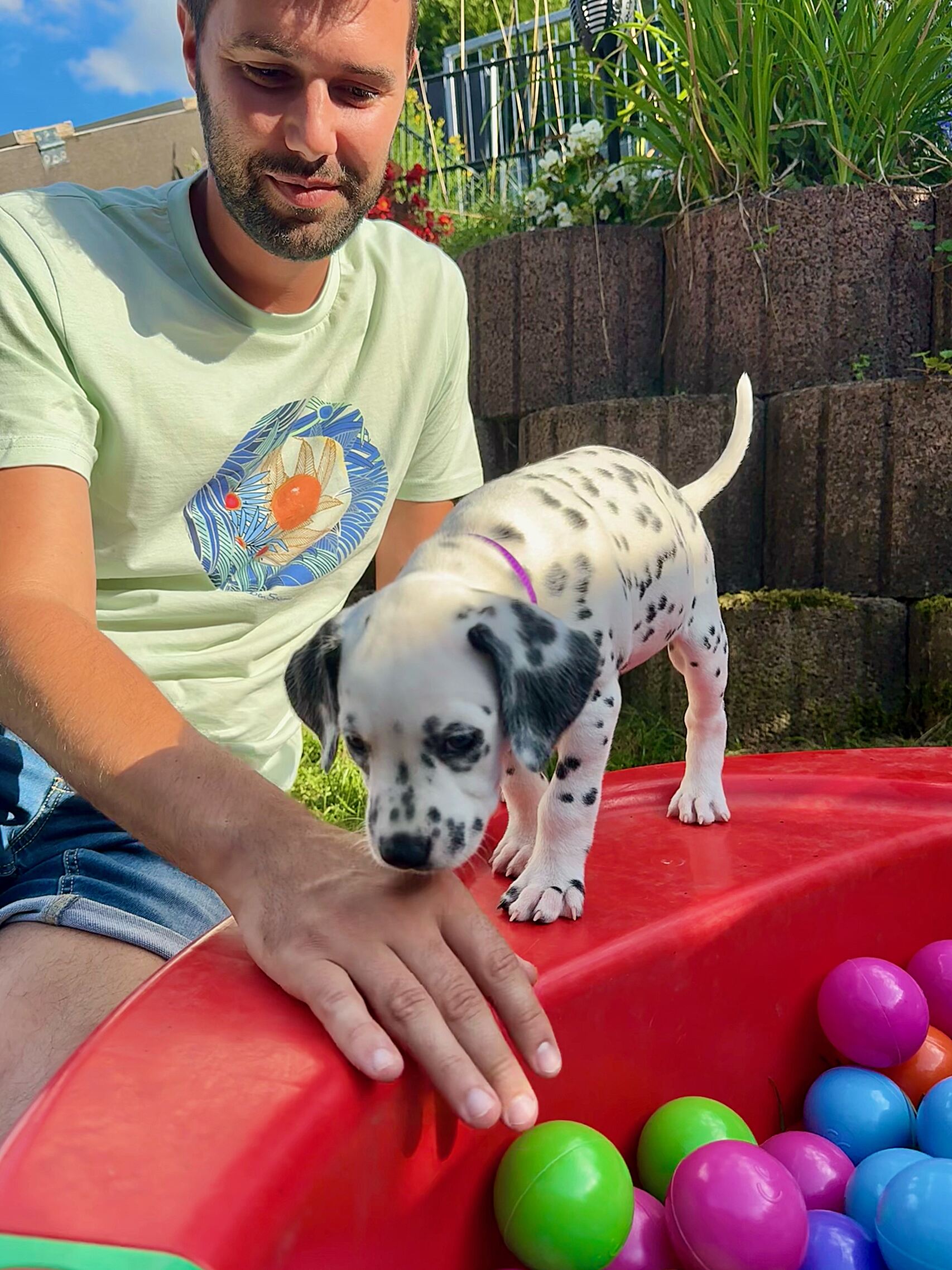 20240808_170000_image27