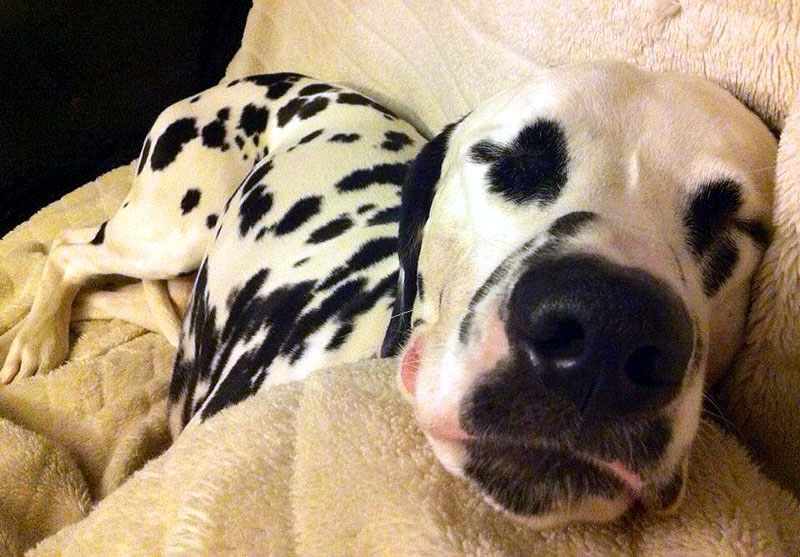 IMG_8796_20150402_01