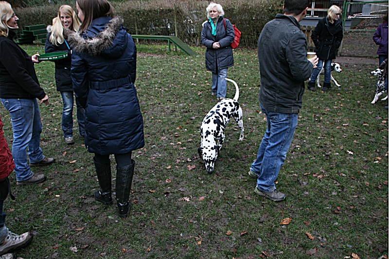 IMG_0400