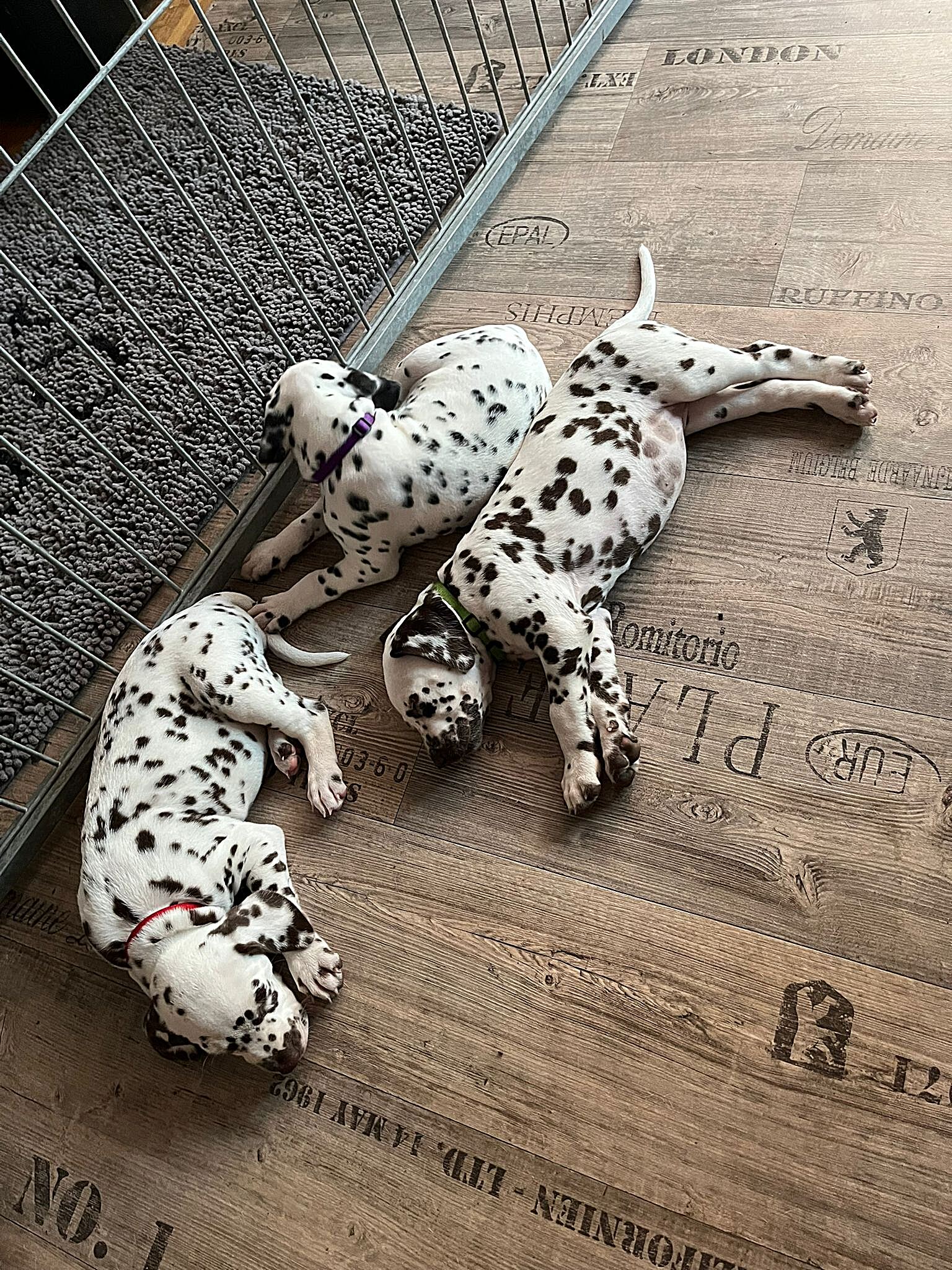 20240812_164500_c7ae6a8e-2225-4787-be90-3cbb64ba4f7c